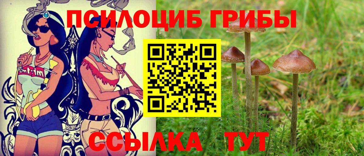 Галлюциногенные грибы ЛСД Междуреченск